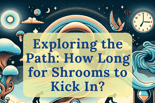 Magic Mushroom Effects Timeline Infographic