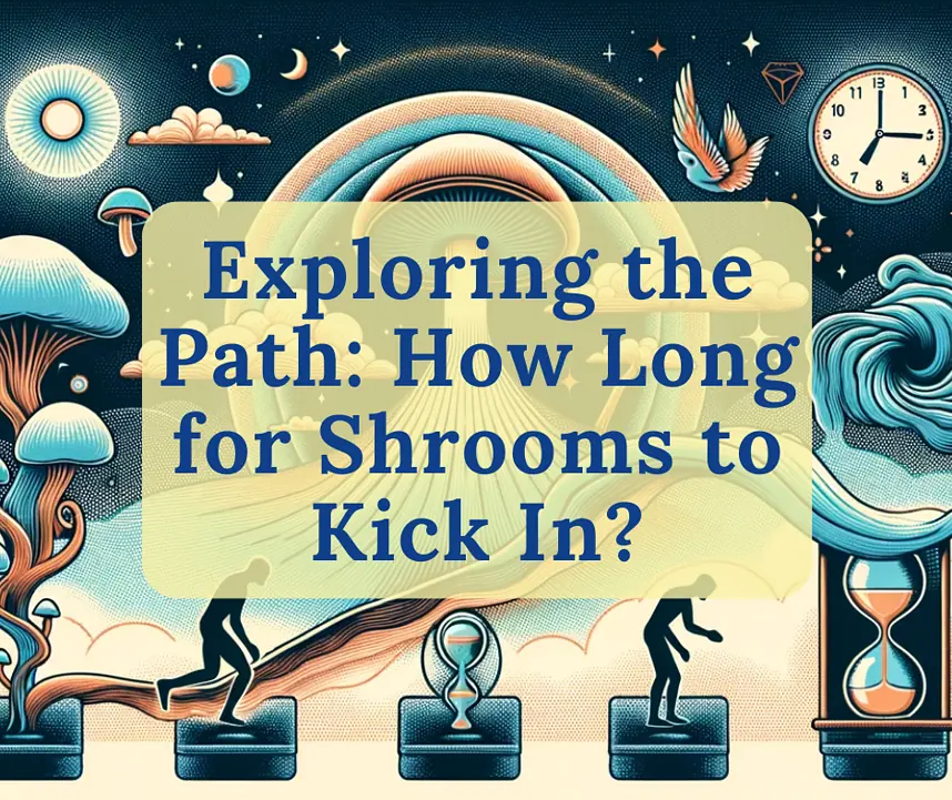 Exploring the Path: How Long for Shrooms to Kick In? 1 Magic Mushroom Effects Timeline Infographic