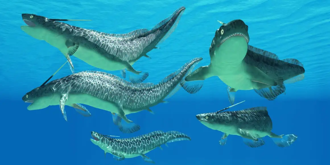 Exploring 9 Commonly Known Creatures Whose Names Start with the Letter 'X' 3 Exploring 9 Commonly Known Creatures Whose Names Start with the Letter 'X' 2