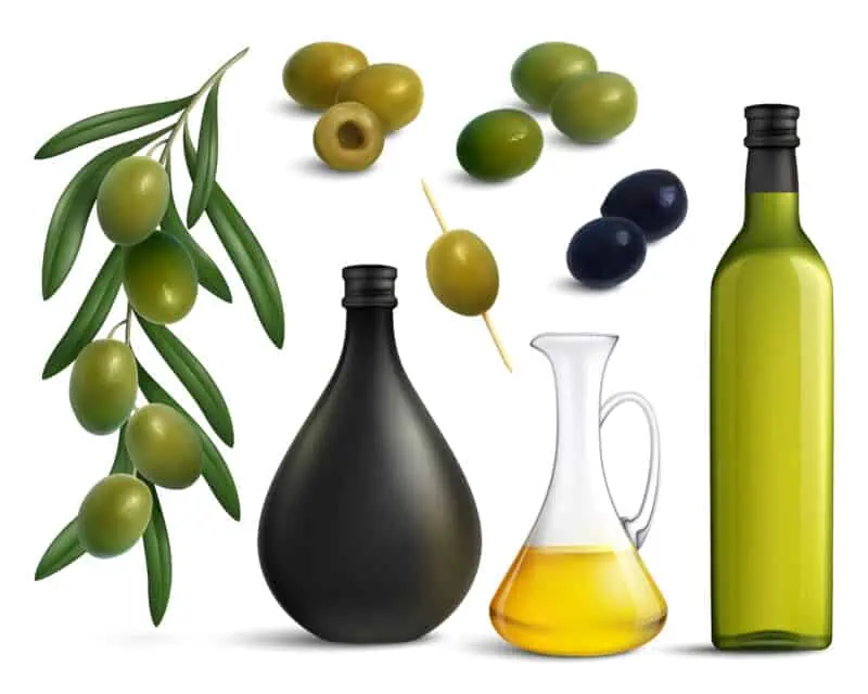 Exploring the Classification of Olive Oil: Is It a Seed Oil? 4 vector image of olives and olive oil