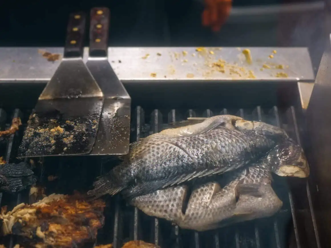 Fresh fish being grilled on a barbecue grill for a delicious meal.