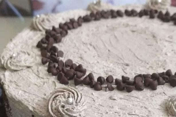 Chocolate chip cake with frosting and swirl decoration, perfect for celebrations.