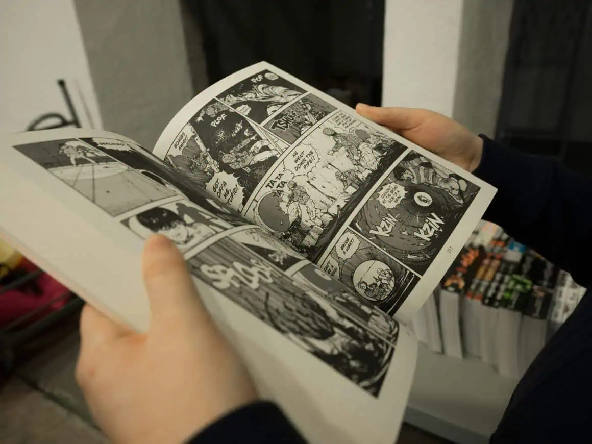 What is 'How to Build a Dungeon: Book of the Demon King' All About 2 manga