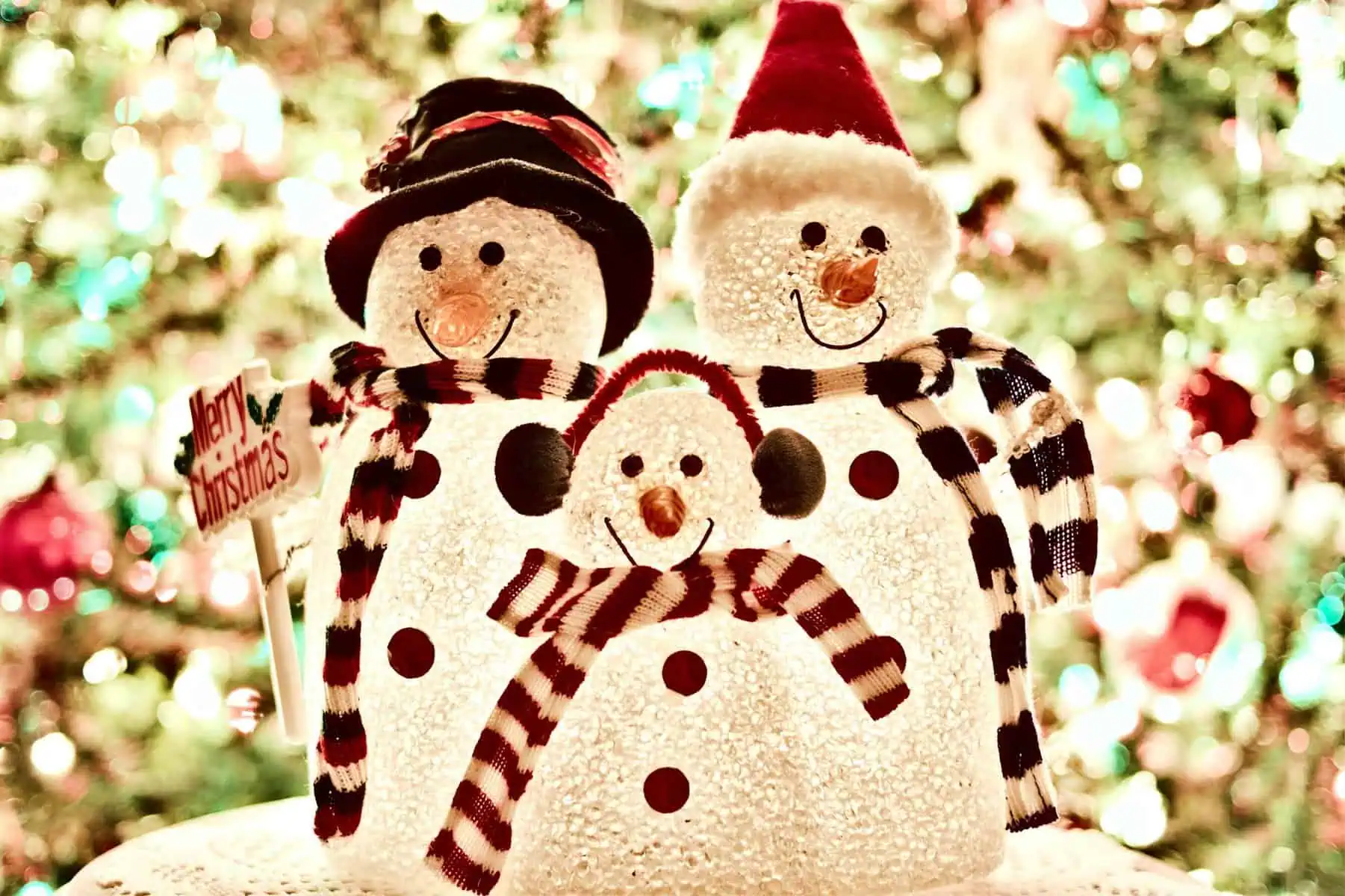 Christmas Season Decorations