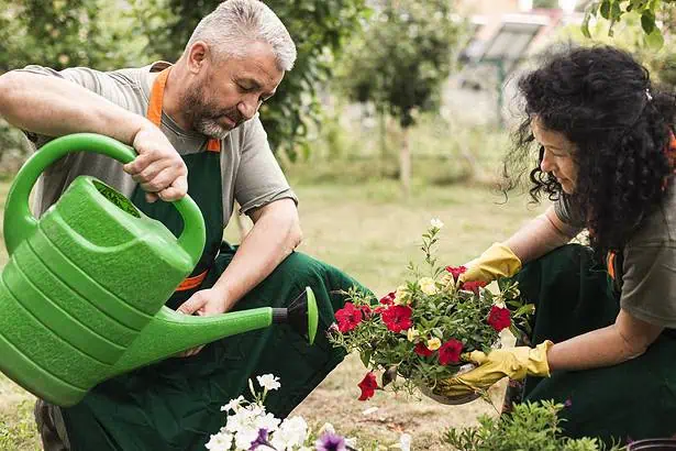 community gardens
