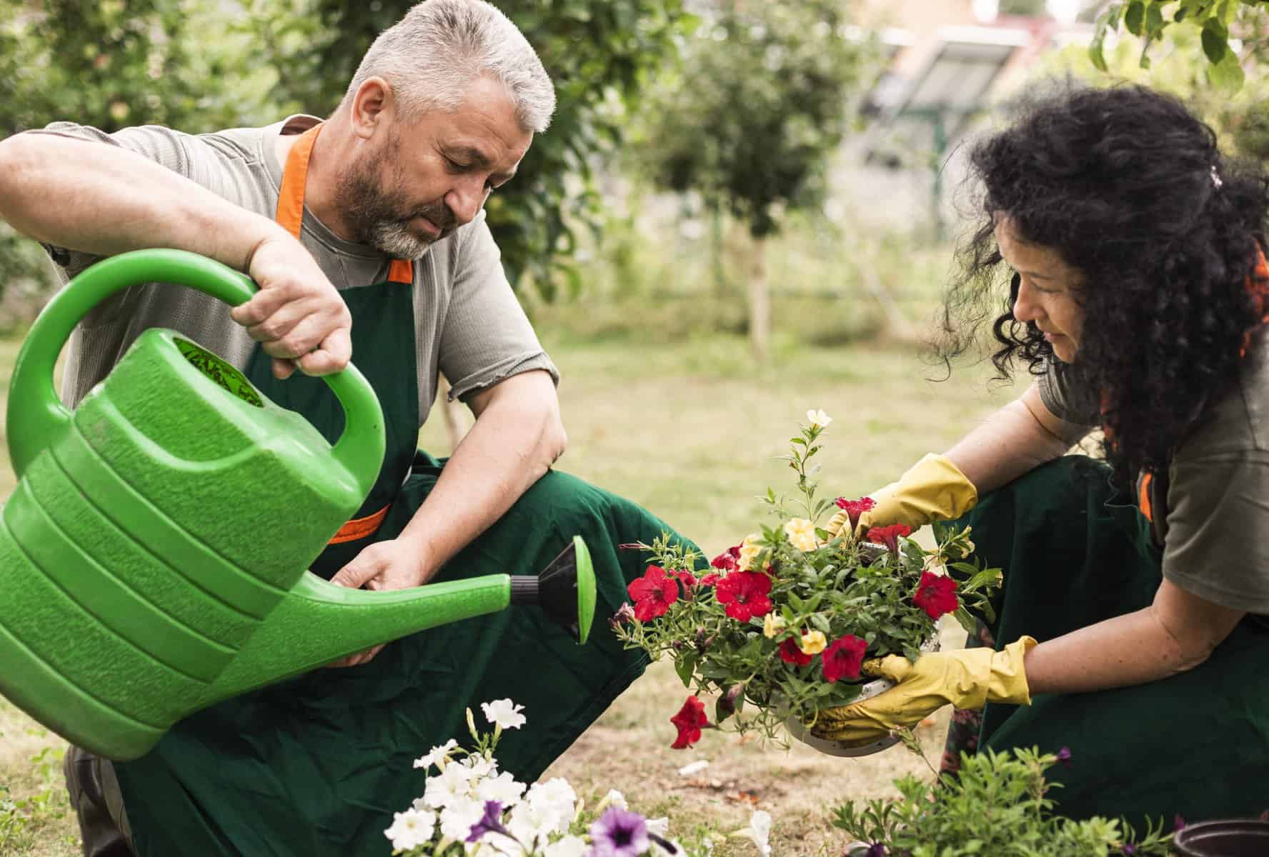 community gardens