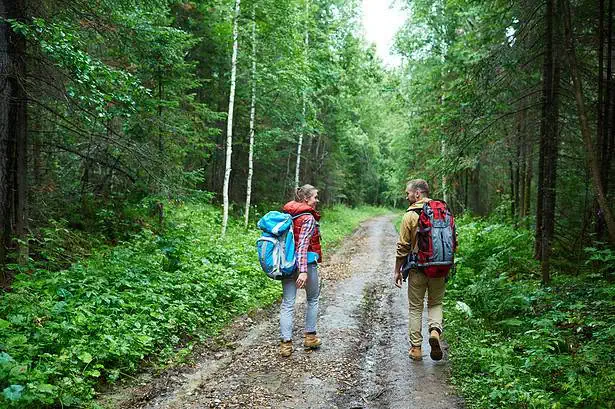 Hiking in lush green forest with two people walking along a dirt trail.