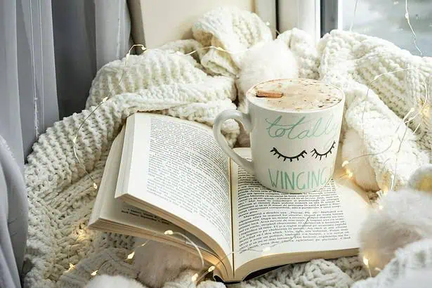 Open book with a mug on a cozy blanket by the window, perfect for relaxing reading.