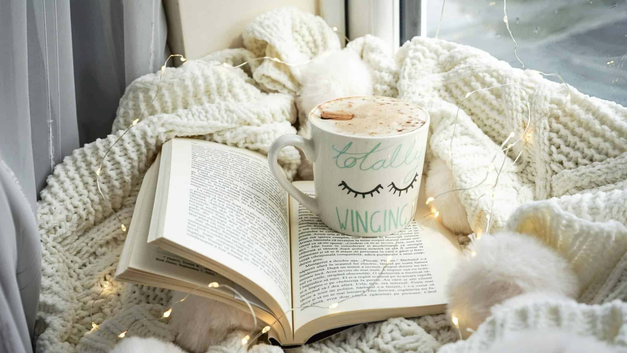 Home Icy 42 Open book with a mug on a cozy blanket by the window, perfect for relaxing reading.