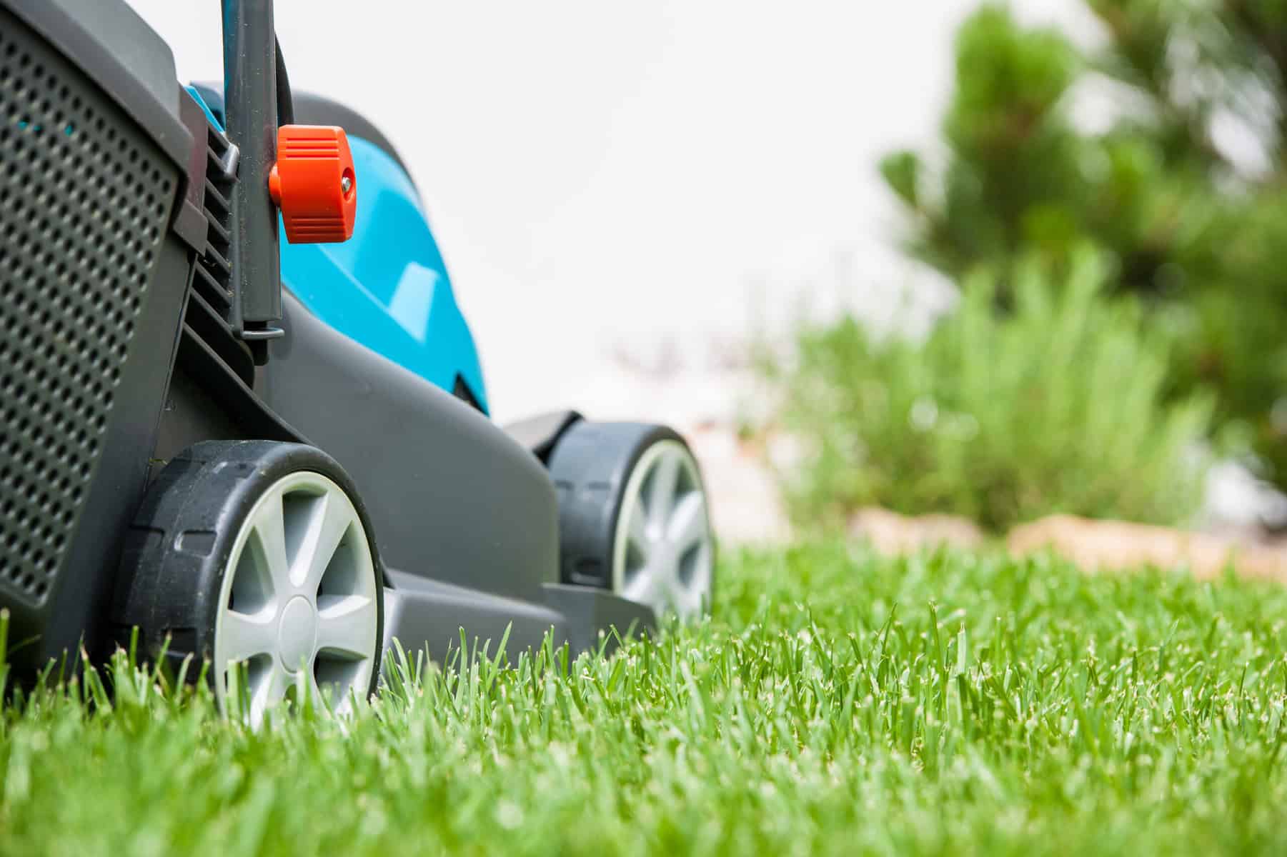 Lawn mower gardening tool cutting grass in backyard, eco-friendly yard maintenance.