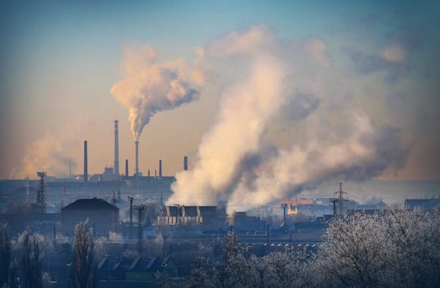 Beginner’s guide to carbon footprint accounting for businesses, featuring emissions tracking, sustainability reporting, and climate action strategies.