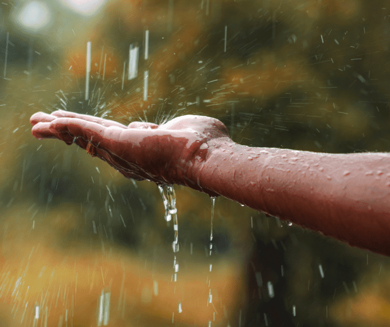 Close-up of a hand catching rainwater during a downpour, symbolizing nature and sustainability.