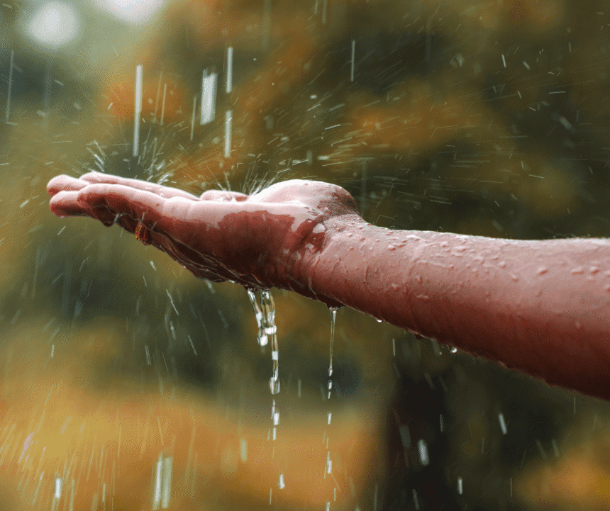 It Was Just Rain, But That Evening, It Felt Like Peace 1