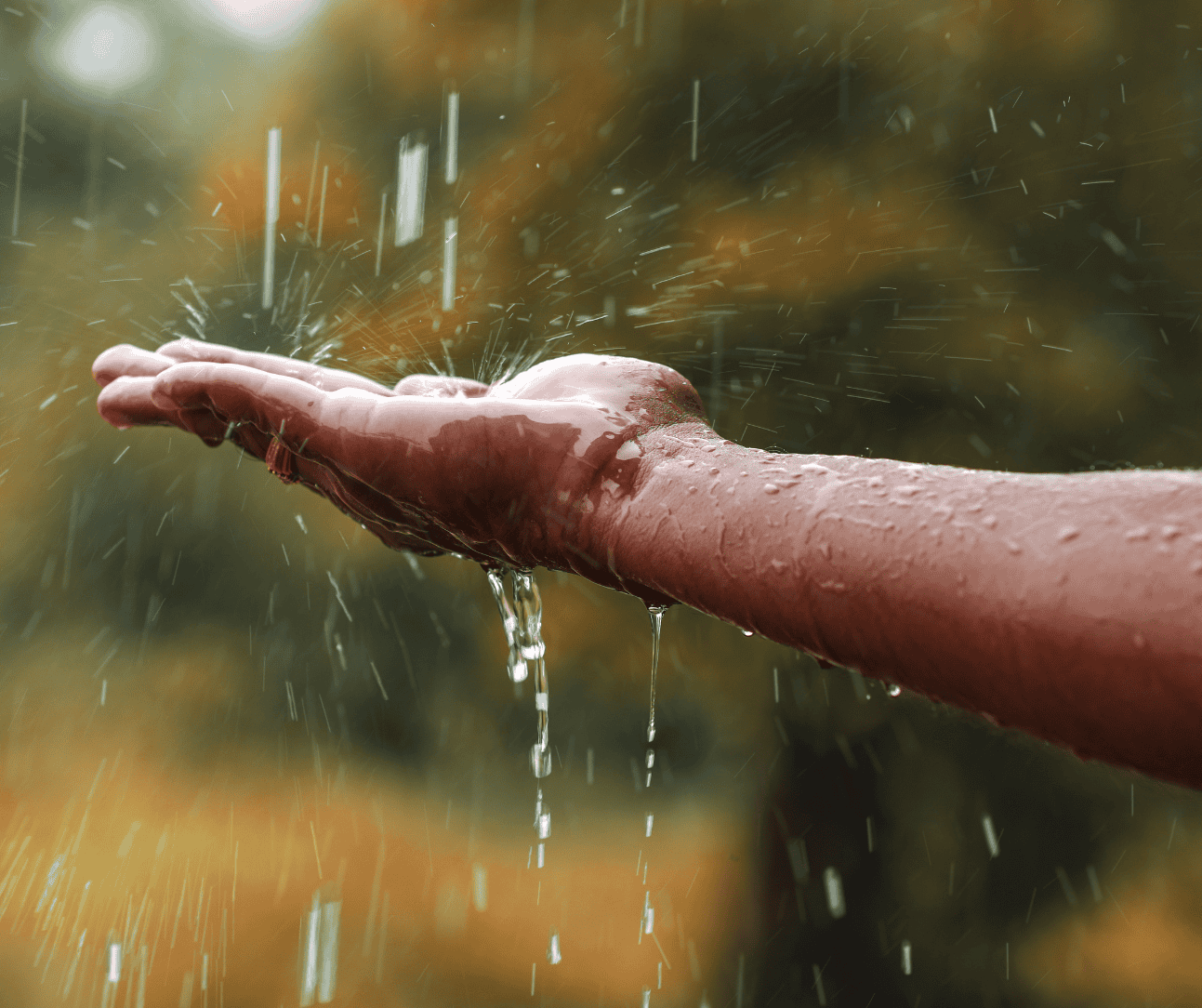 It Was Just Rain, But That Evening, It Felt Like Peace 5