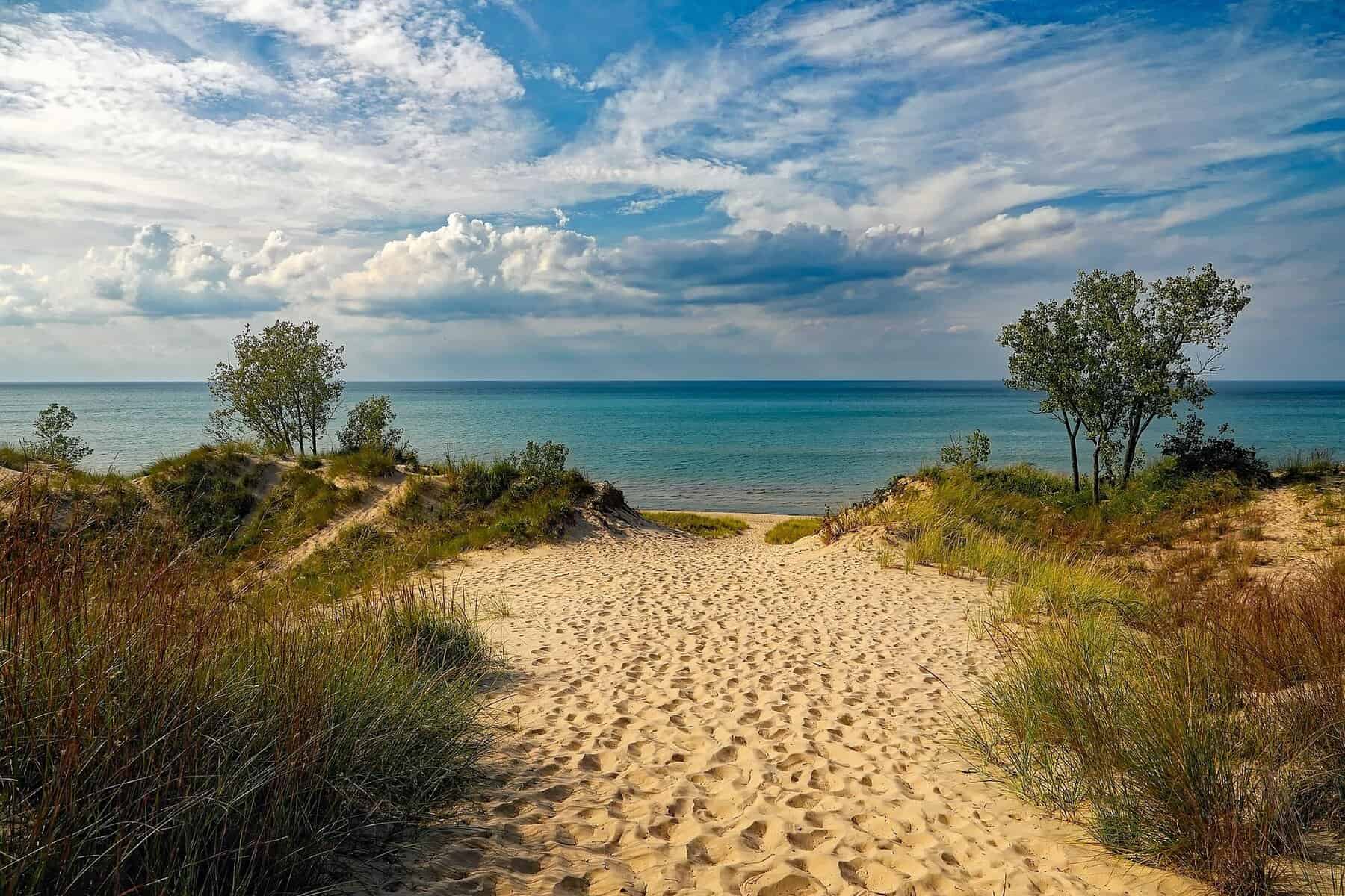 Scenic sandy beach with dunes, green trees, and calm ocean against blue sky with clouds.