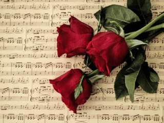 Exploring the Forty Rules of Love with Shams of Tabriz 8