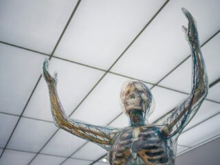 nervous system
