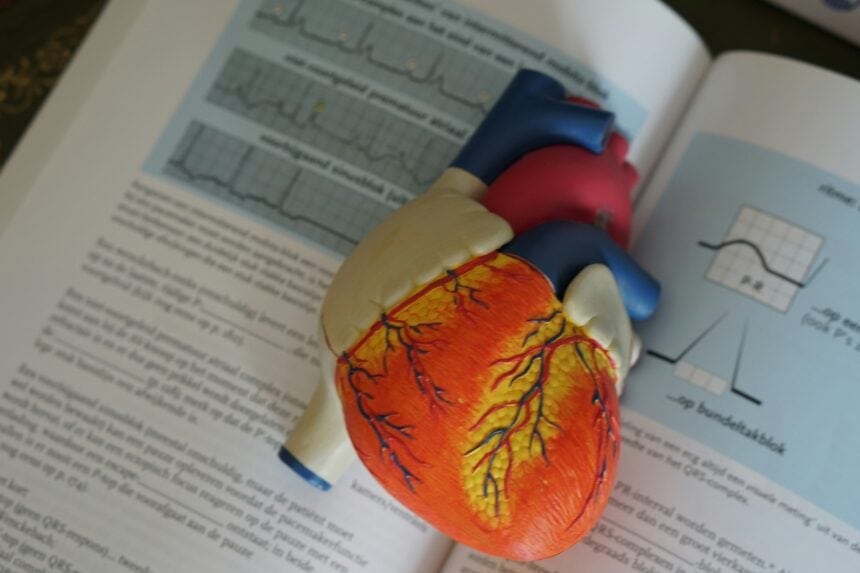 What Students Learn In Medical School Programs 1 Detailed 3D model of a human heart with visible arteries and veins, placed on a medical textbook for educational purposes.