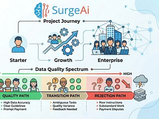 Data quality spectrum illustrating project journey from starter to enterprise levels.
