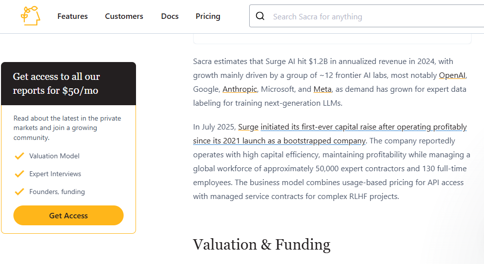 Surge AI's Crowdwork Pay Machine and the Workers It Leaves Behind 4